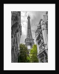 Eiffel Tower, Paris by Assaf Frank